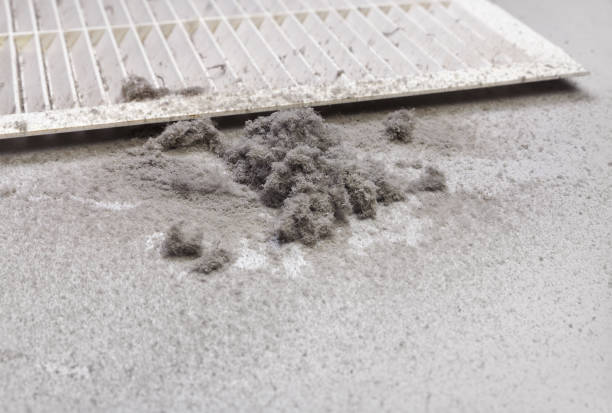 Best HVAC Duct Inspection Services  in Cedar Grove, WI