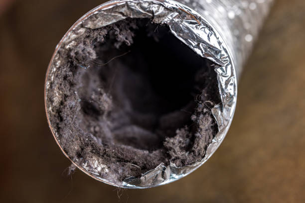 Best Residential Air Duct Cleaning  in Cedar Grove, WI