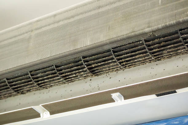 Best Ductwork Cleaning Services  in Cedar Grove, WI